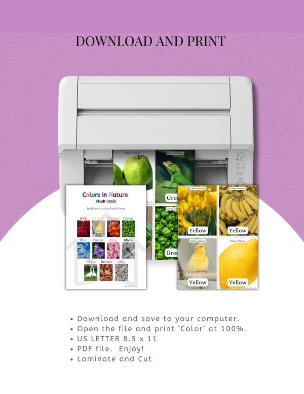 Color matching (Nature) Flash Cards