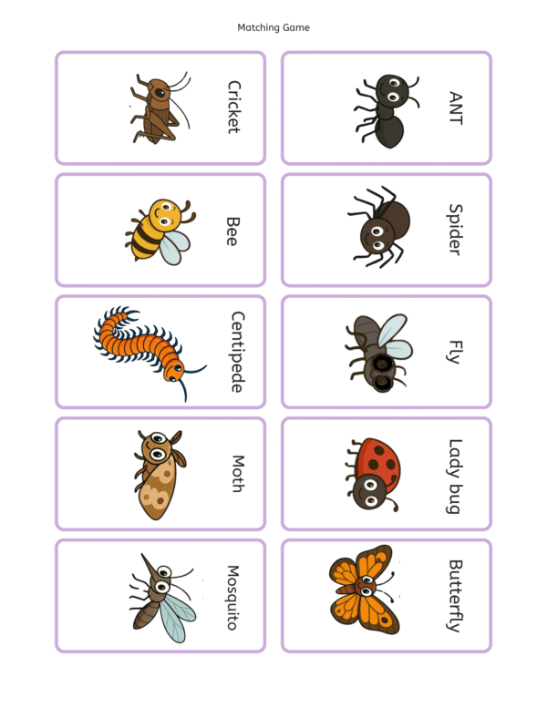 Bugs And Insects Activity Packet - Image 3
